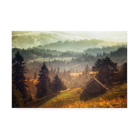 Stanislav Hricko 'Pine Barn' Canvas Art,30x47